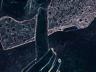 dancing in the night club with suggestive lighting