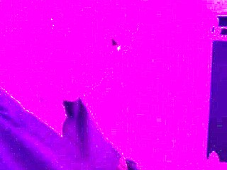 Wife surprises husband with a playful handjob session