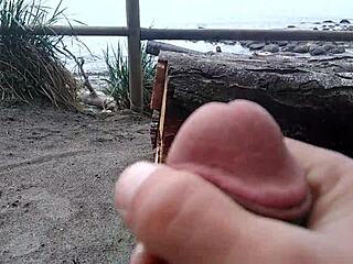 I's playing on the beach