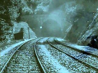 vintage erotic clip with wild hairy action