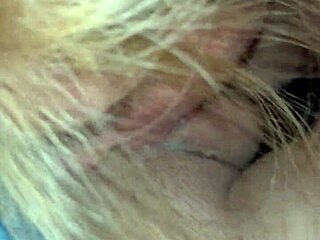 petite brit ellie shou asks porno dan for advice on squirting techniques