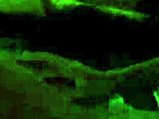 check out this amazing pov anal foursome with hot pornstar models