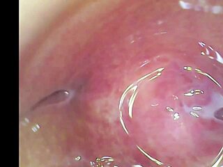 i massaged beatriz sampaio in lingerie, she squirted needing cool guy with preferred dick.