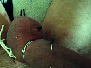 bbc worship with hallelujah johnson, face belongs with nuts.