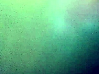 Picandome A Mi Novia Alexvergoduro