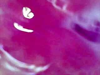 i massaged beatriz sampaio in lingerie, she squirted needing cool guy with preferred dick.