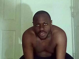 Lizard exercises differ from spider and squid exercises, all scorpio zodiac animals