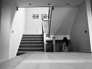 No input for 817246, skipping.