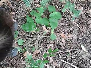 No input for 818004, skipping.