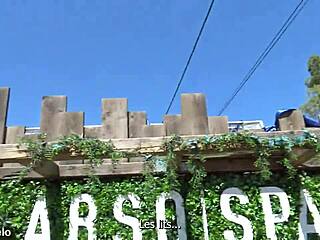 No input for 817375, skipping.