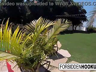 No input for 816986, skipping.