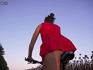 No input for 817363, skipping.