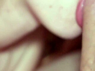 No input for 818019, skipping.