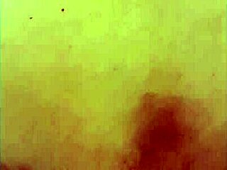 No input for 816597, skipping.