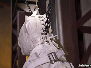 Petite sailor girl Luna bound and fucked in intense anal session