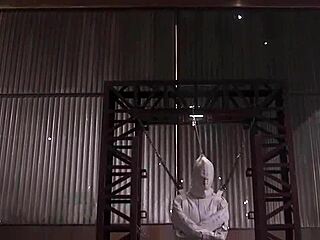 No input for 816990, skipping.