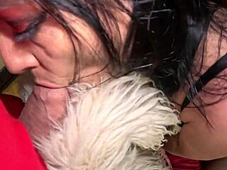 No input for 818553, skipping.