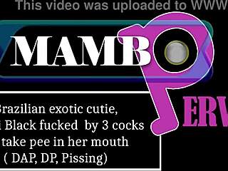 No input for 819363, skipping.