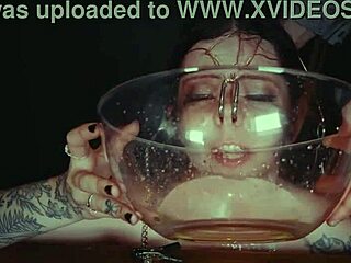 No input for 819598, skipping.