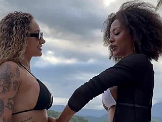 No input for 819291, skipping.