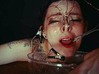 No input for 819598, skipping.