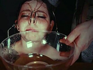 No input for 819598, skipping.