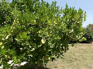 No input for 819909, skipping.