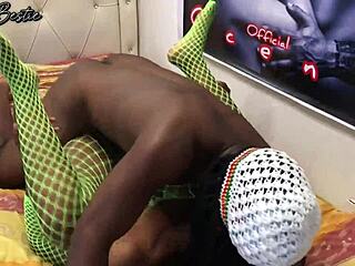 No input for 818285, skipping.