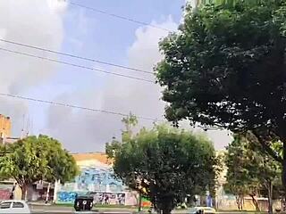 No input for 819669, skipping.