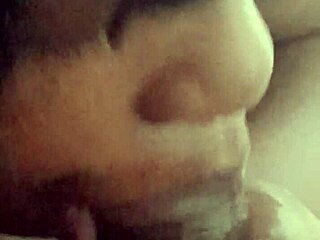 No input for 819617, skipping.