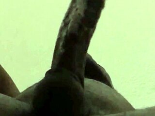 No input for 821379, skipping.