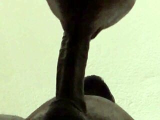 No input for 821379, skipping.