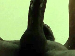 No input for 821379, skipping.