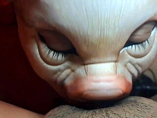 No input for 822094, skipping.