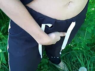 No input for 820575, skipping.