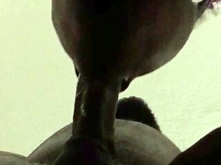 No input for 821379, skipping.