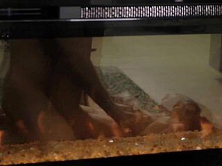 No input for 820979, skipping.