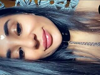 No input for 820208, skipping.