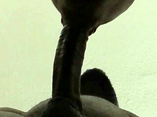 No input for 821379, skipping.