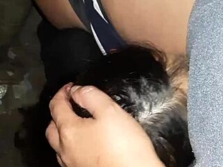 No input for 820372, skipping.