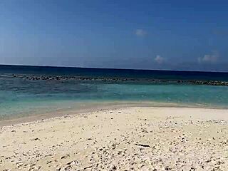 No input for 821327, skipping.