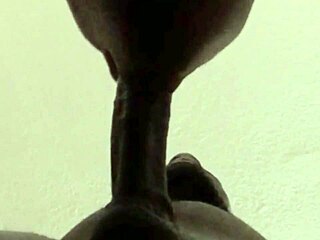 No input for 821379, skipping.