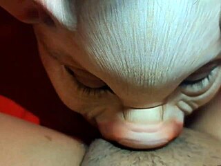 No input for 822094, skipping.