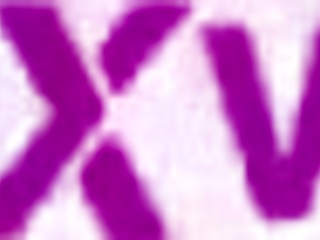 Newbie Bruno Breaks Annie Marin's Ass!