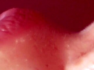 I’m Obsessed with This Japanese Porn Story About a Baseball Fan’s Creampie Close-Up.