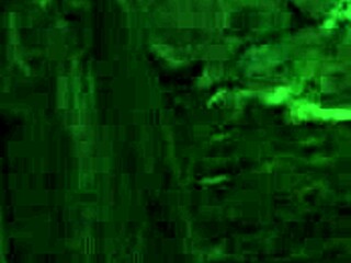 exploring paradise trails vr part 2 in the great outdoors