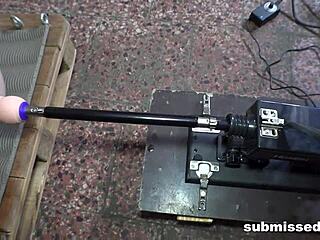 Count to Ten with Toys