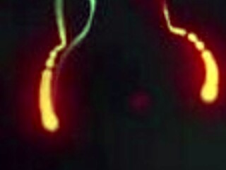 Stepdaughter Boldly Massages Busty Stepmom Krissy Lynn