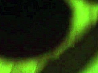 steph in dallas showing off her amateur curves