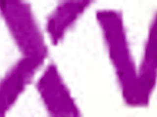 Stacy Bloom competes against Mr. Anderson in balls deep anal with gapes